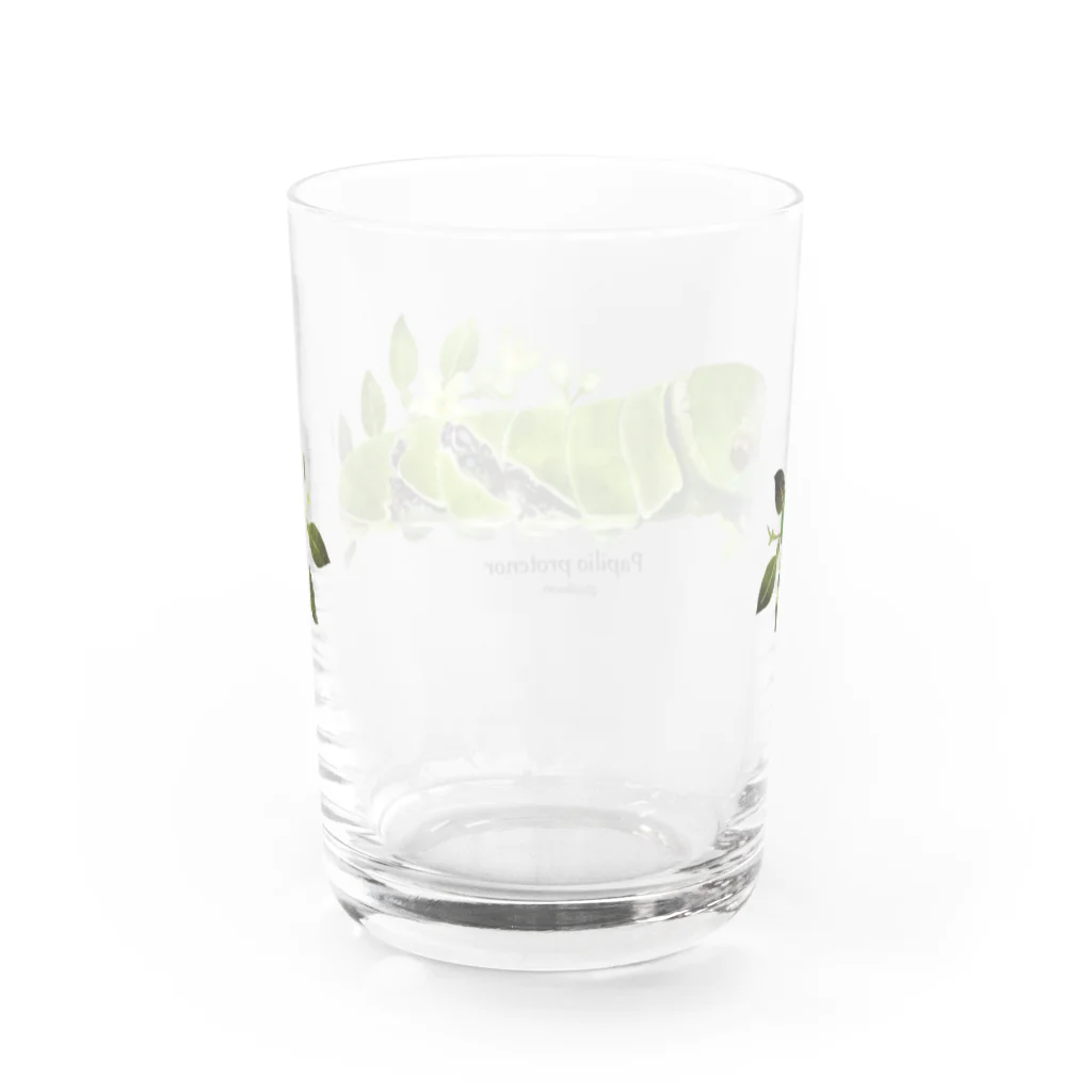 OJIKのクロアゲハイモムシ Water Glass :back