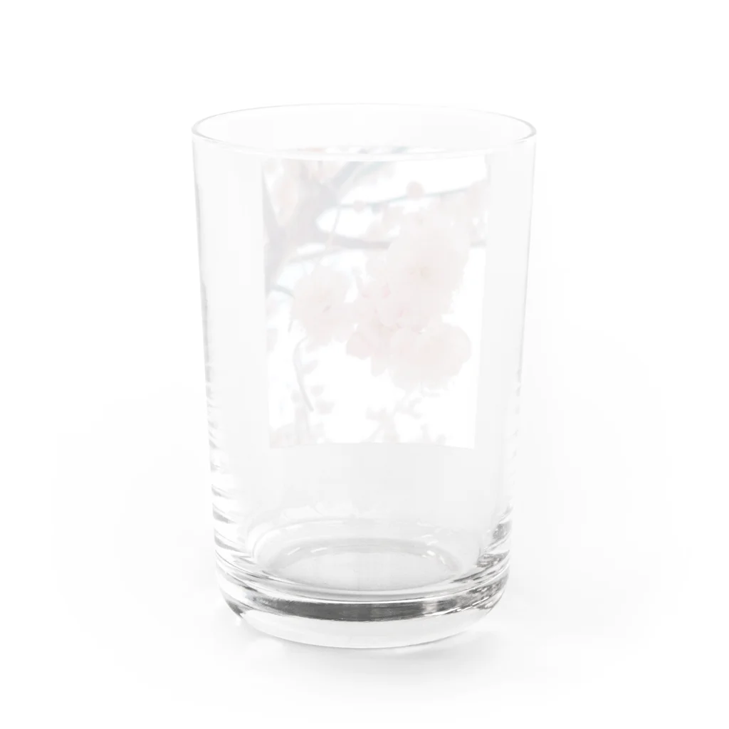 蒼の工房のおはな(梅) Water Glass :back