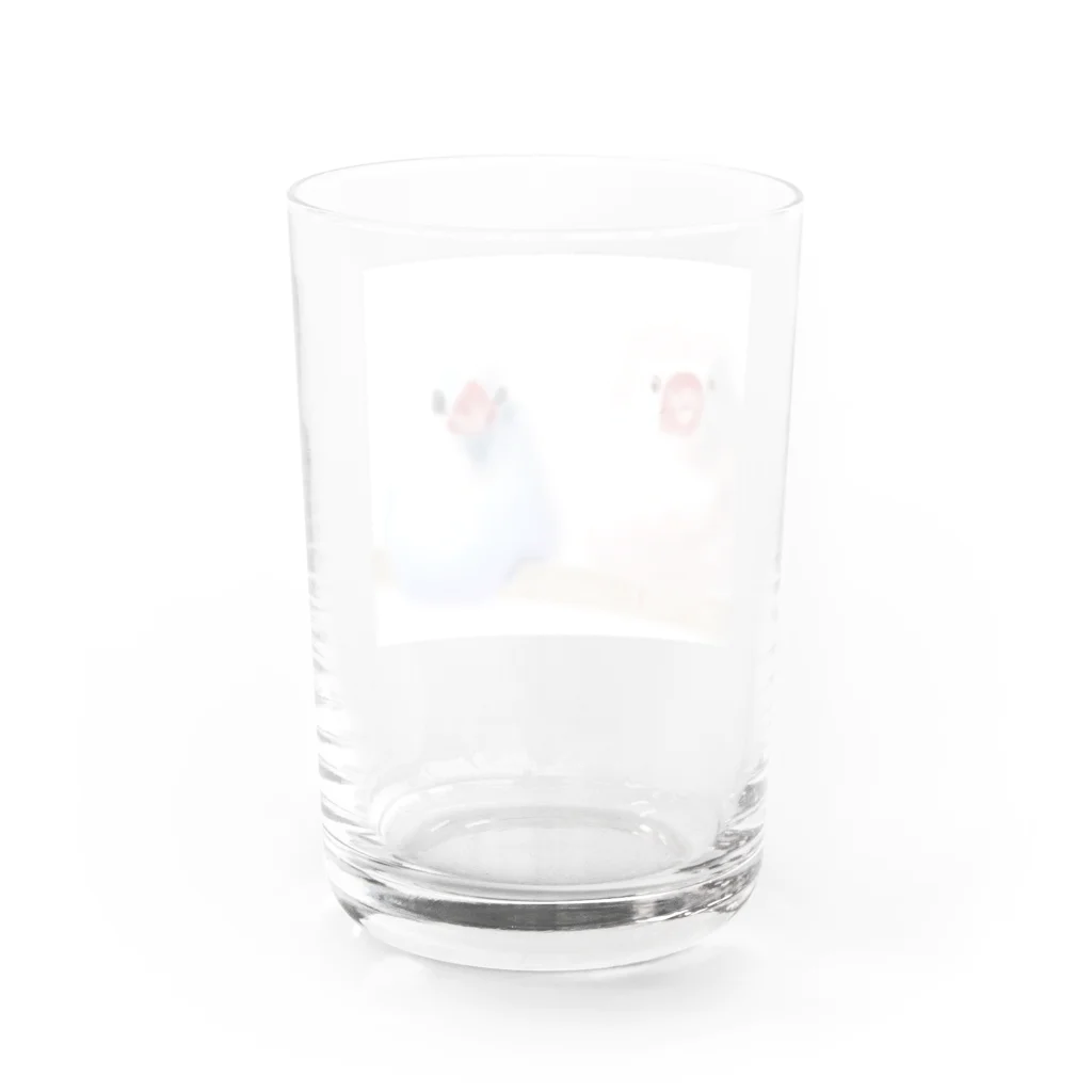 ツチノコ＠リムマンショップのブンチョーのきょうだい Water Glass :back