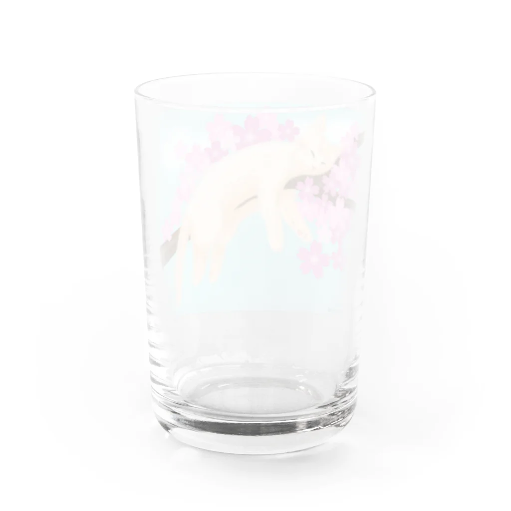 たくらだ猫の猫ハウスの桜ねんねsky Water Glass :back