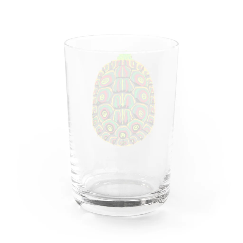 populuのカメ Water Glass :back