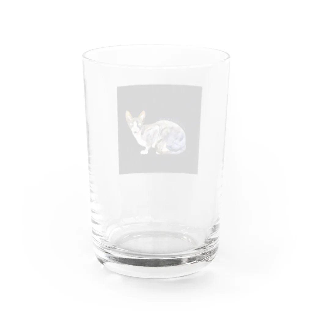 Fios shopのsprezzaturaスフィンクス Water Glass :back