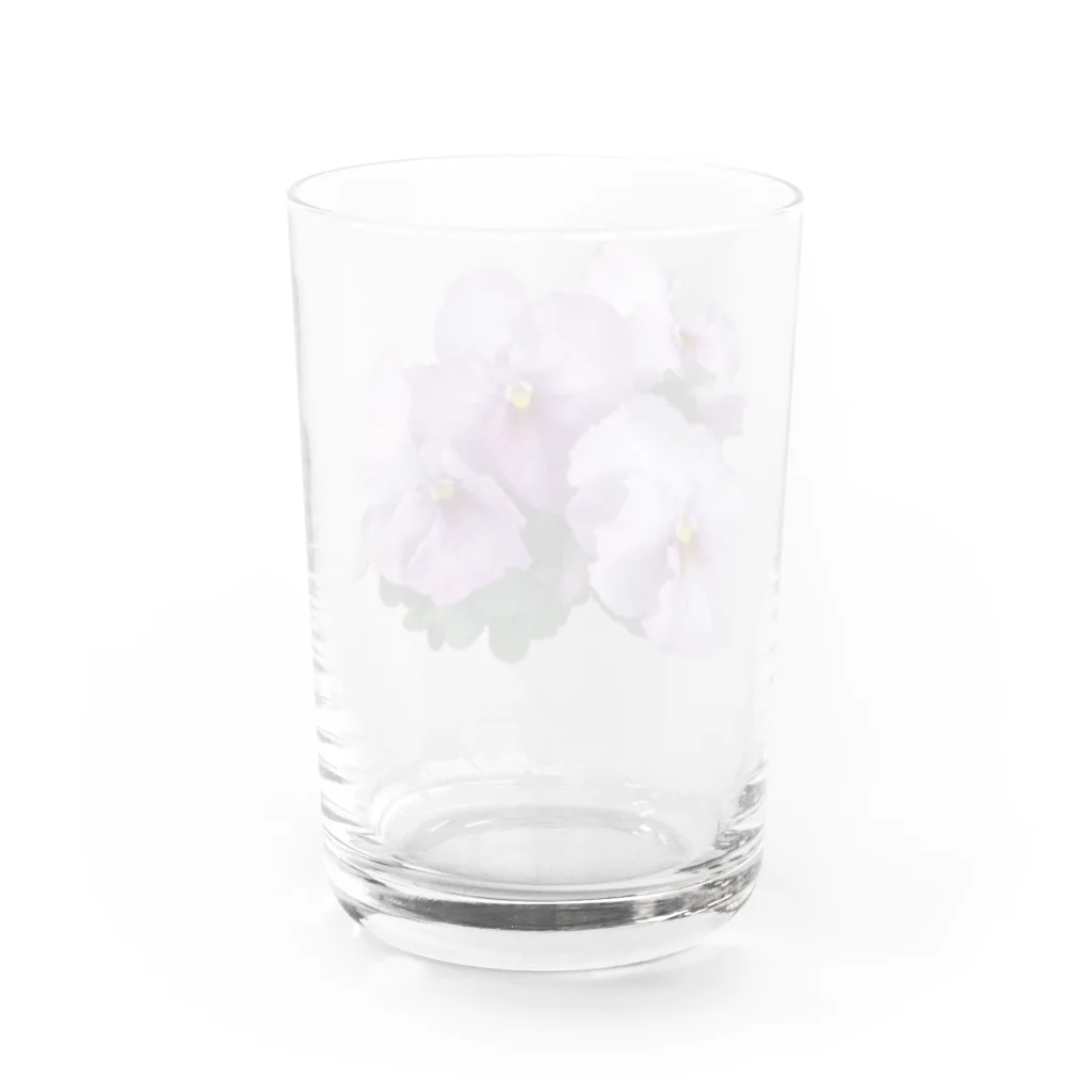 H2Styleのもうすぐ春ですね Water Glass :back