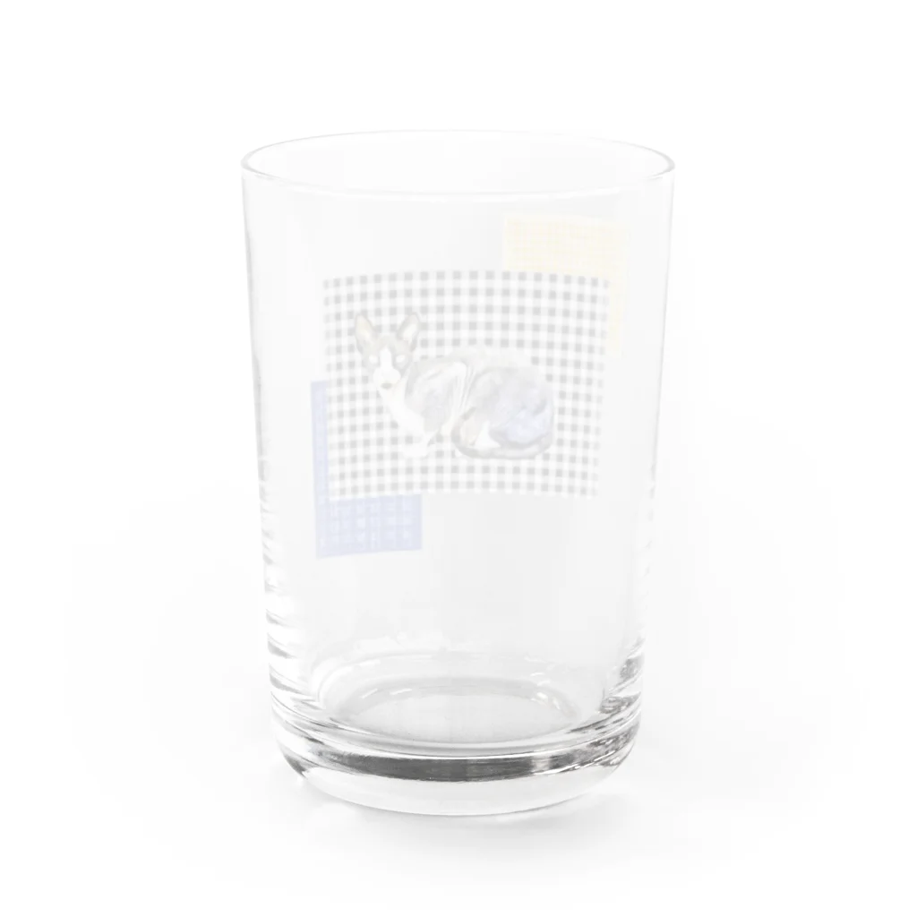 Fios shopのギンガムチェックスフィンクス Water Glass :back