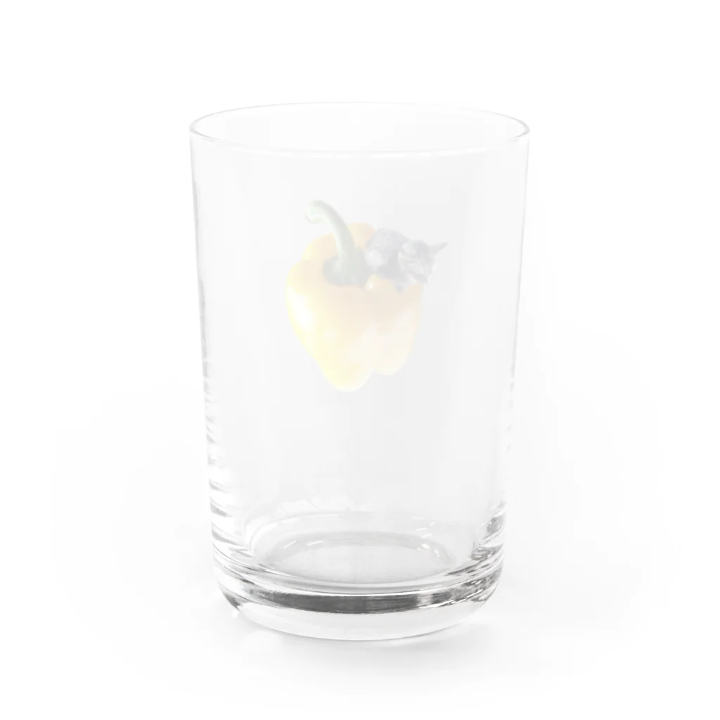 xxxmmxxxのパプリカ Water Glass :back