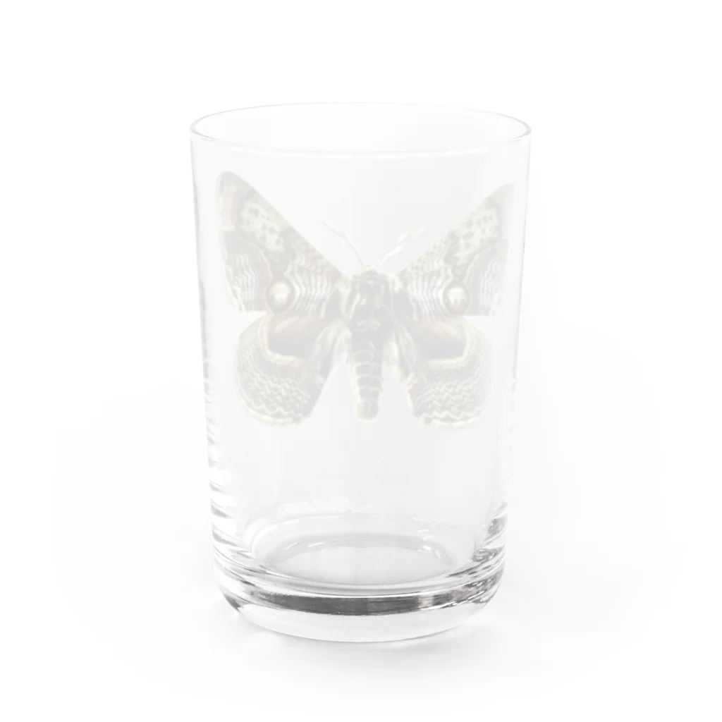 黒猫デザインのイボタガ　全体　淡色専用　 Water Glass :back