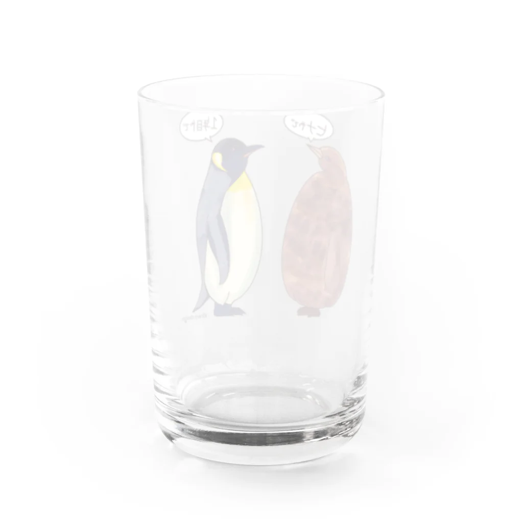 Kinkadesign うみのいきものカワイイShopのオウサマペンギンのヒナと1年目 グラス反対面