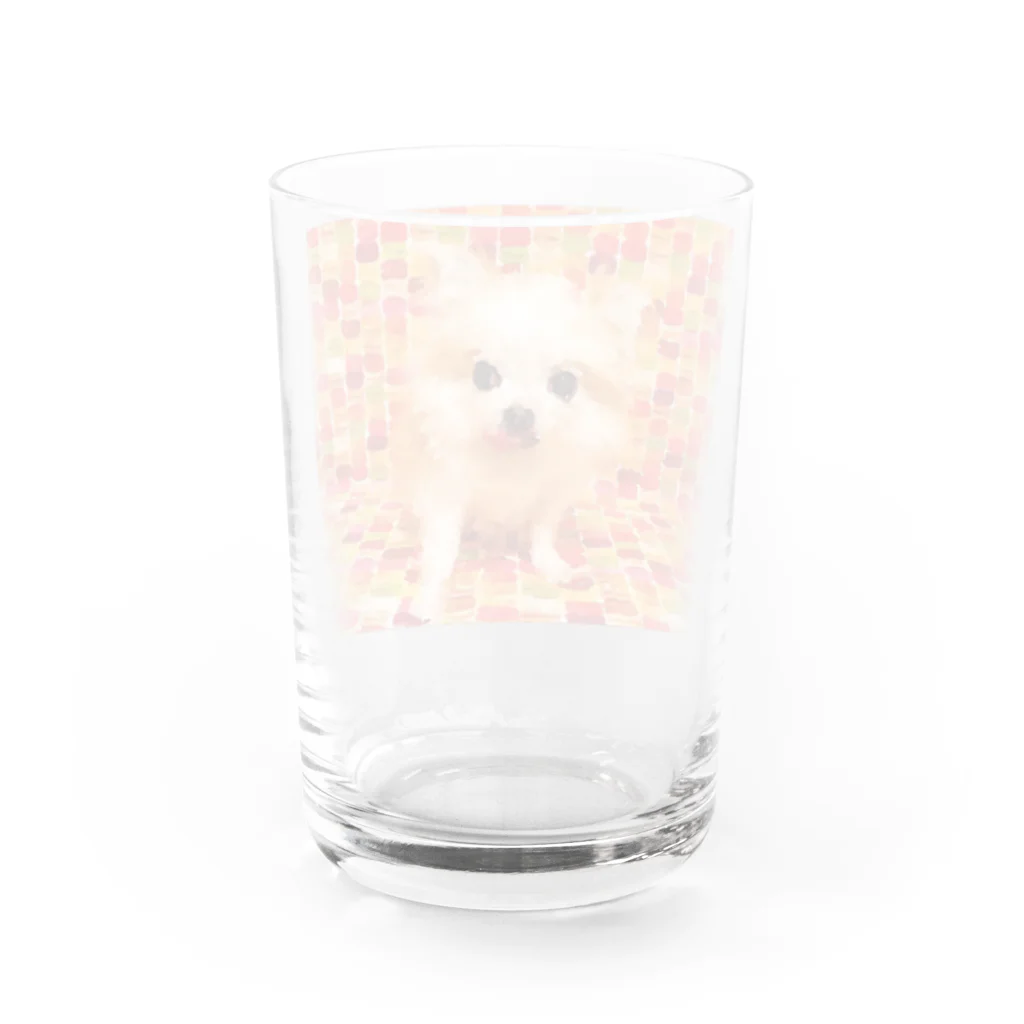 ねこっちくんカンパニーのカラフルねこっちくん Water Glass :back