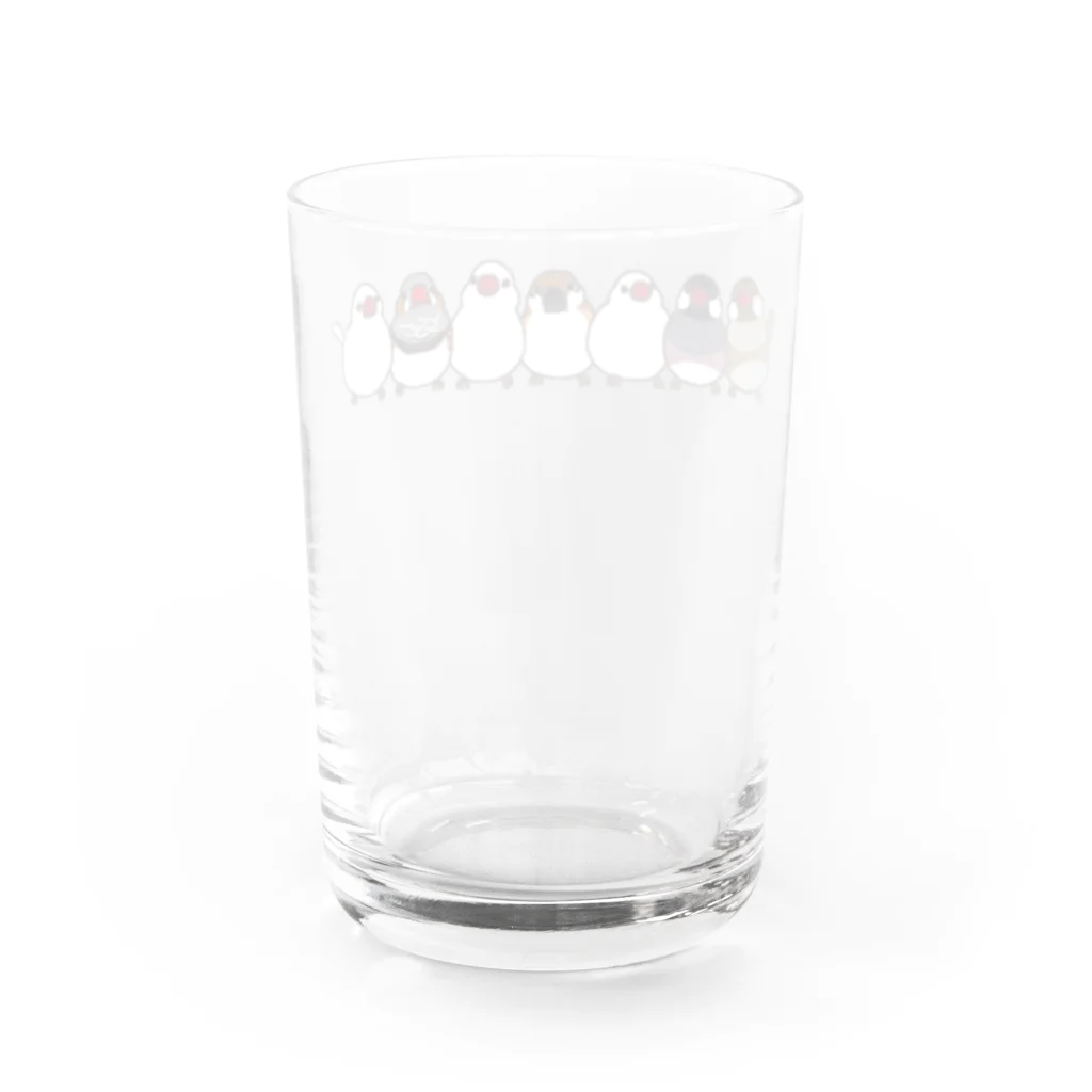 エトピリカの文鳥ならび Water Glass :back