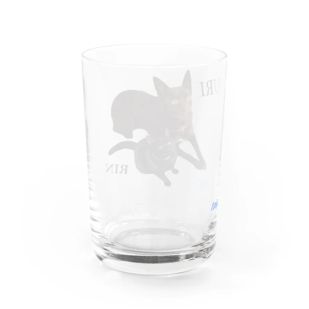 タイピー日記のぶりりん  グラス Water Glass :back