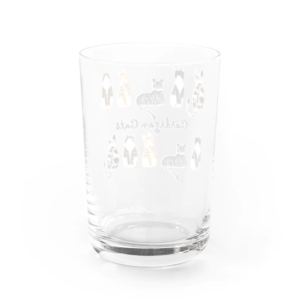 ゴシック屋↣↣ハルのカーディガンキャッツ Water Glass :back