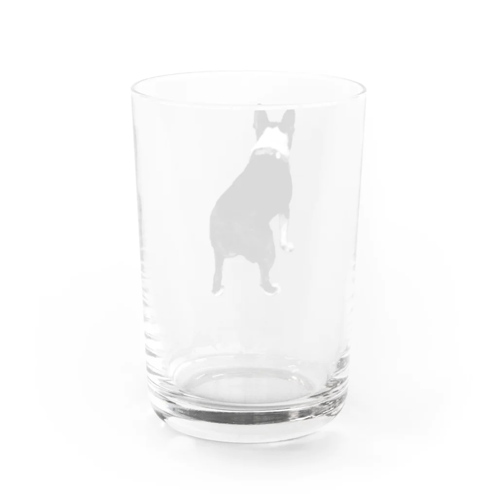 ナッツがかわいいのおしりもかわいいナッツ Water Glass :back