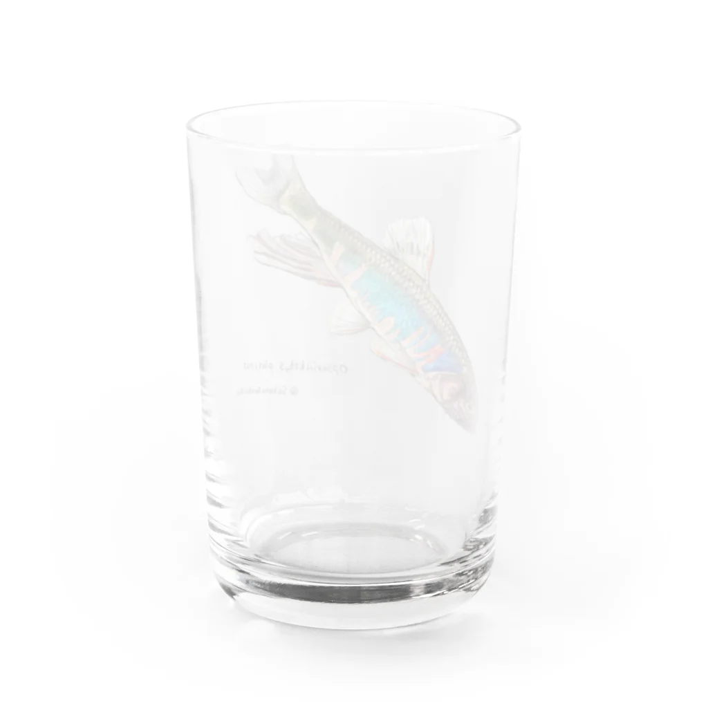 魚…ですか？のオイカワ Water Glass :back