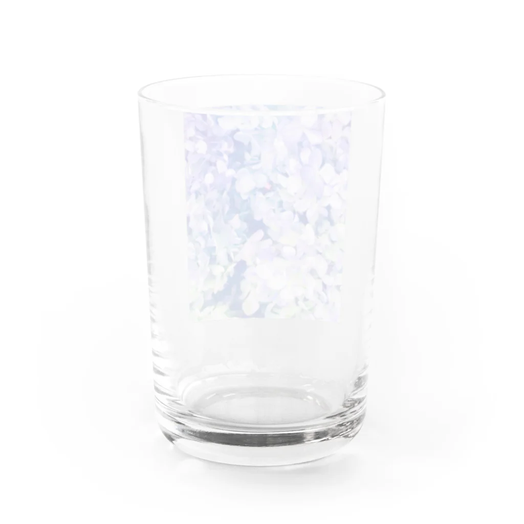 FuuのAOMURASAKI Water Glass :back