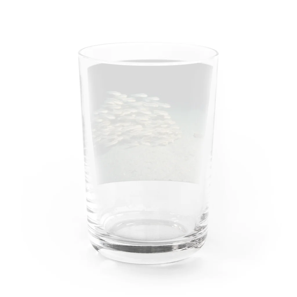 龍舞堂のゴンズイ Water Glass :back