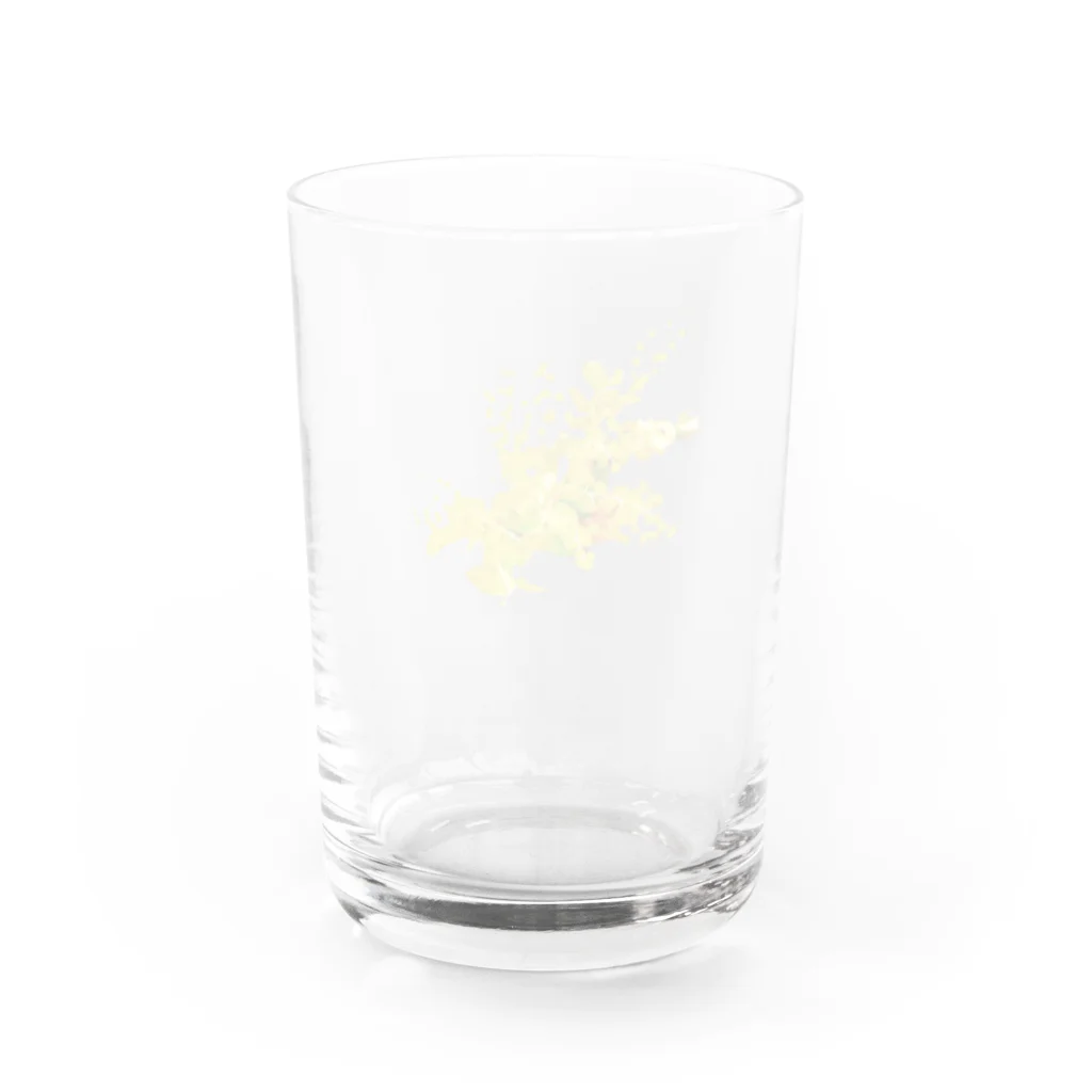 ！あんにゅいぽっぽ！のMIMOZA Water Glass :back