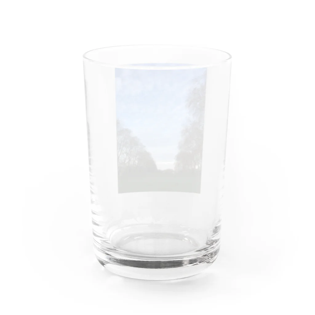 Kumya37の空と並木道 Water Glass :back