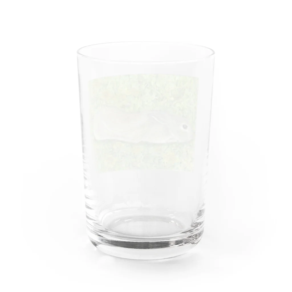 blue deer farmのうさんぽ日和 Water Glass :back