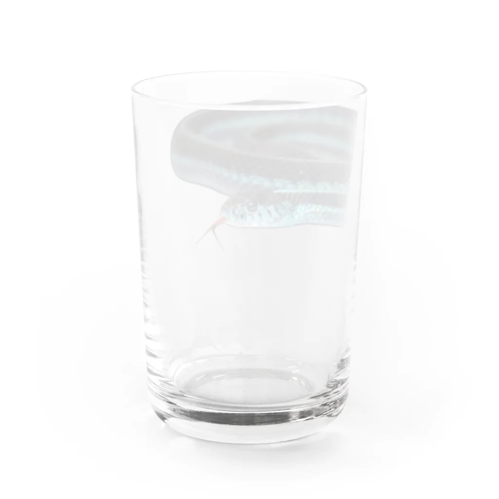 mahiruのpikkaring' Water Glass :back