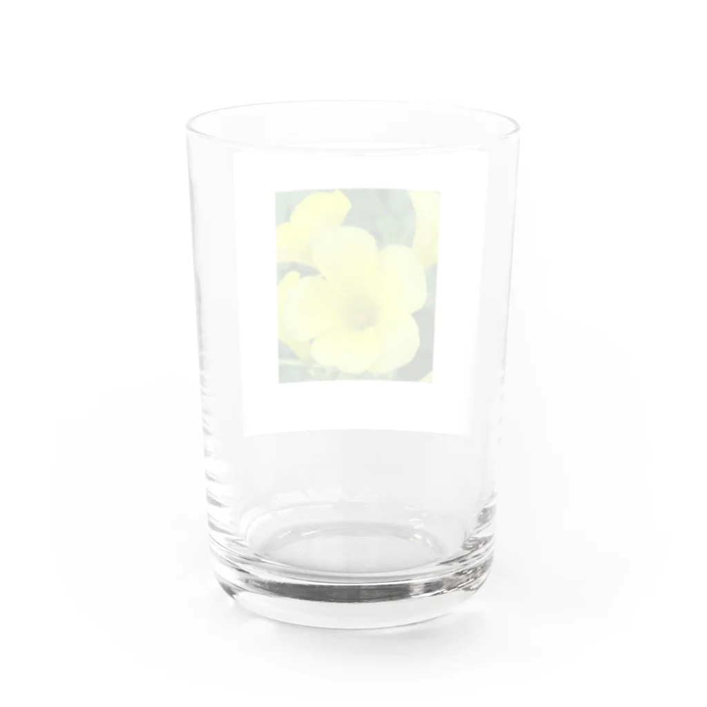 ムシロのお花 Water Glass :back