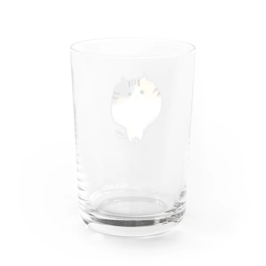 もふもふにゃんずのあたまでっかち猫のらむ Water Glass :back