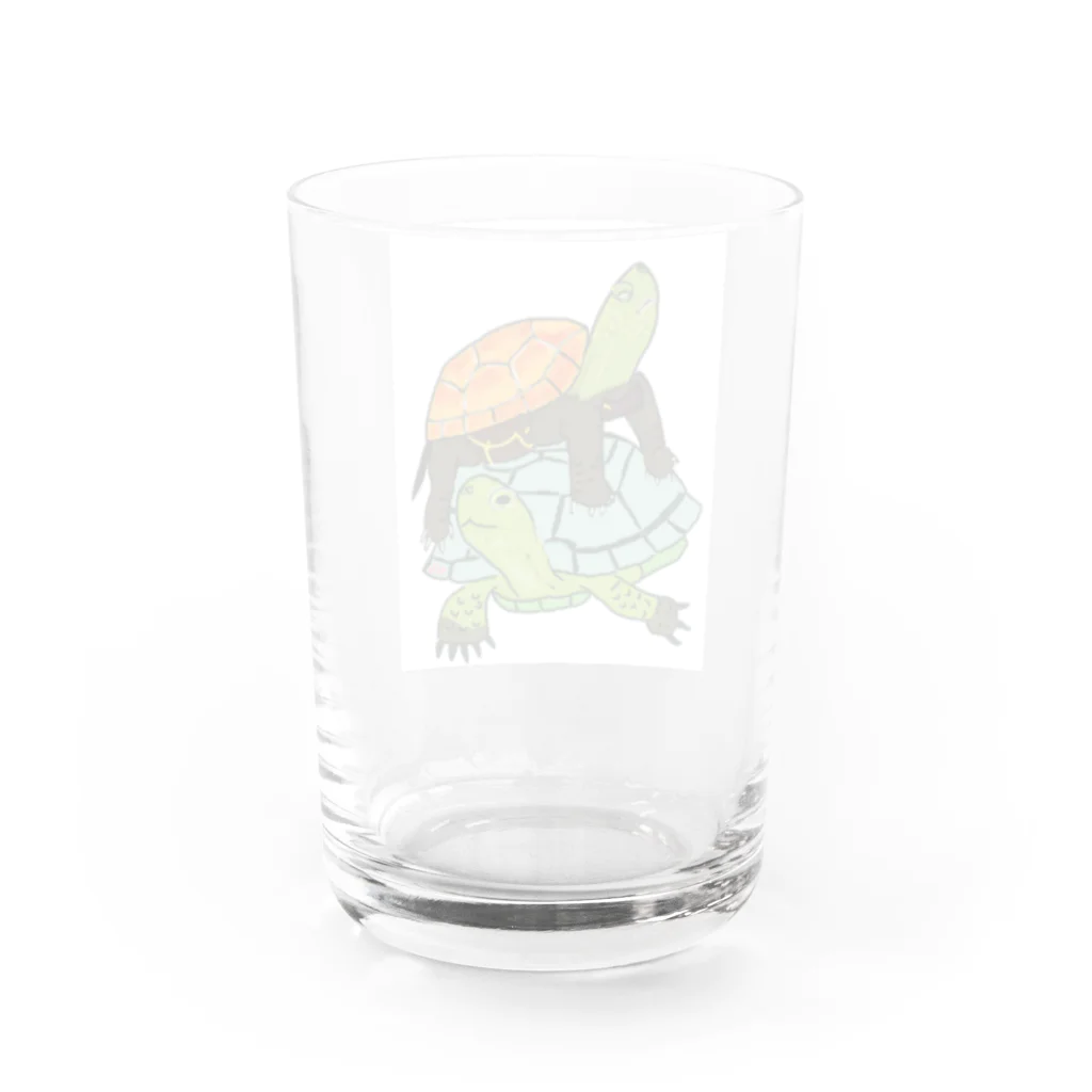 316(MIHIRO)のスペインイシガメとクサガメちゃん Water Glass :back