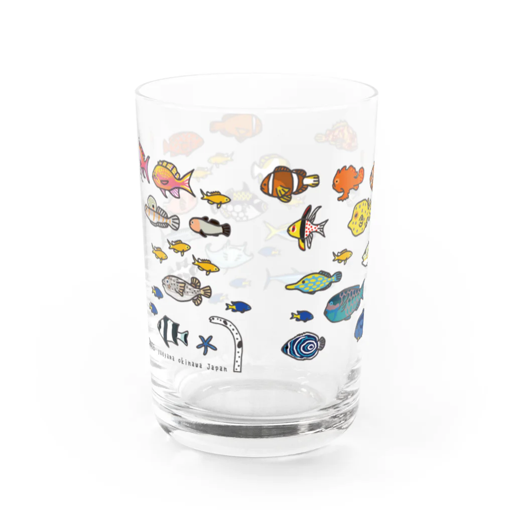 しまのなかまfromIRIOMOTEのらくがきしまのなかま魚類 Water Glass :back