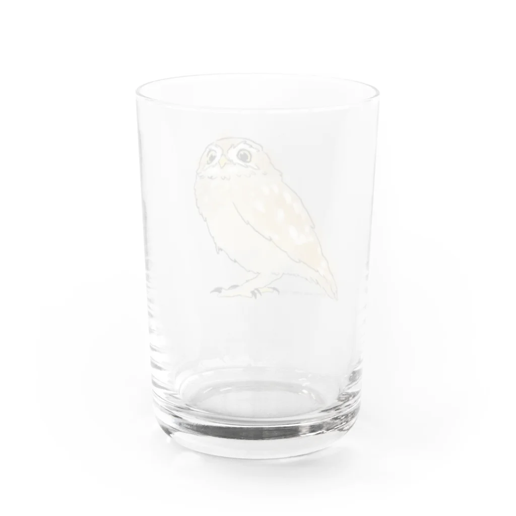 iro×asobi.の手描きコキンメフクロウ Water Glass :back