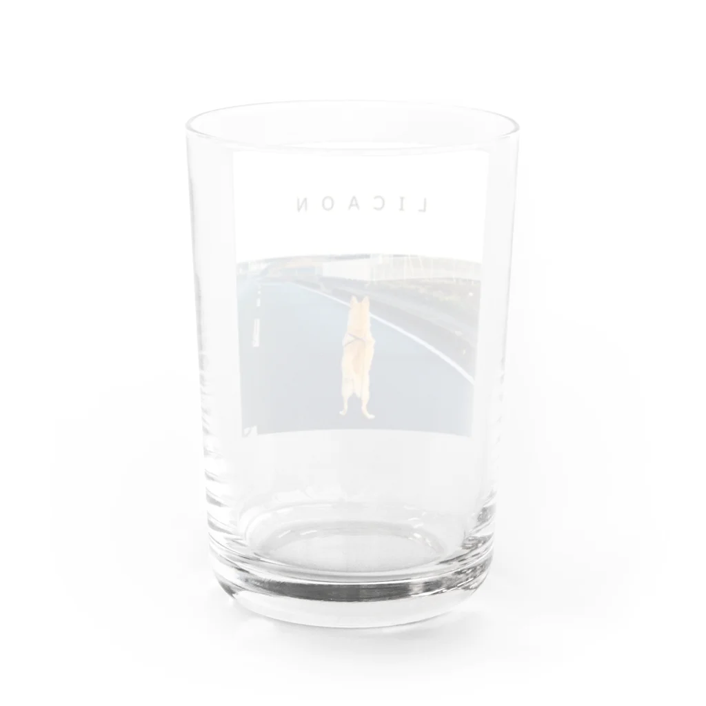 リカオンのSTAND UP LICAON Water Glass :back