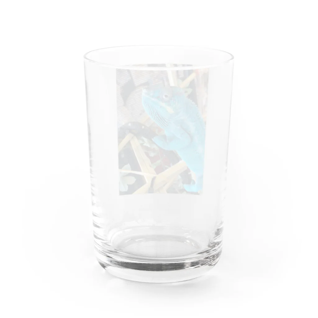 MEG's カメレオンのカメレオンのメレさん Water Glass :back