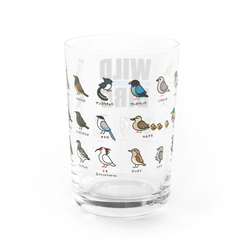 すたじお ワグテイルの野鳥連合（大きめ野鳥の支部） Water Glass :back