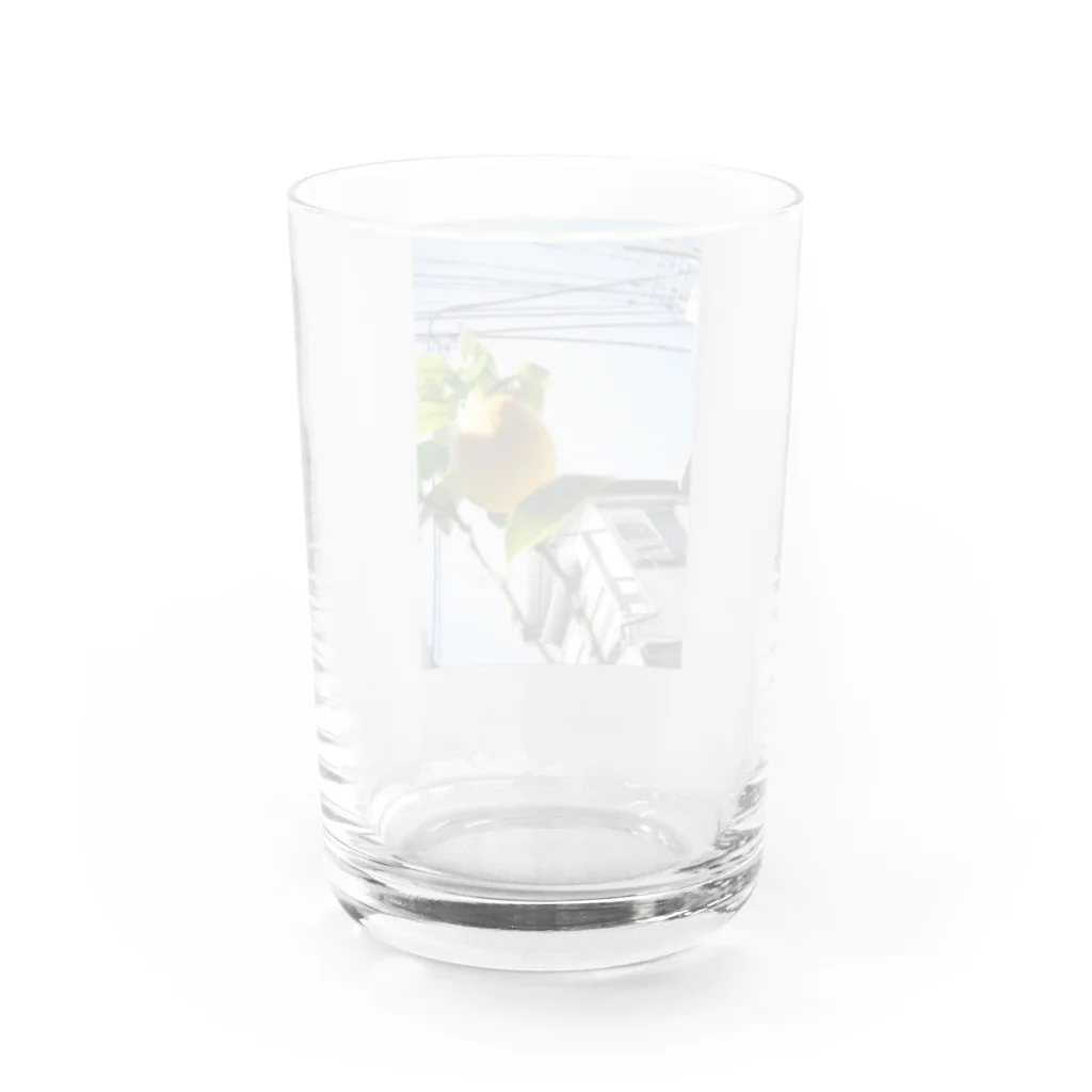 ✶ uopn ✶の檸檬と空 Water Glass :back