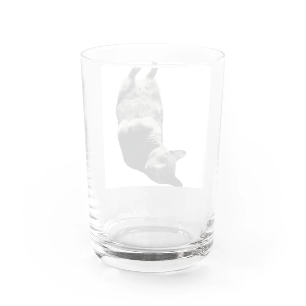 昭和猫の逆さ猫 Water Glass :back