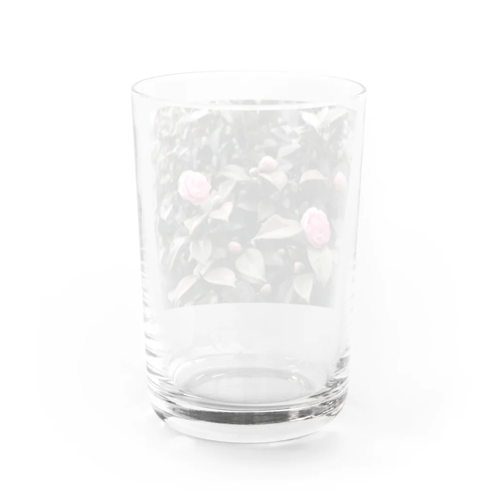 癒しの休日の春 Water Glass :back