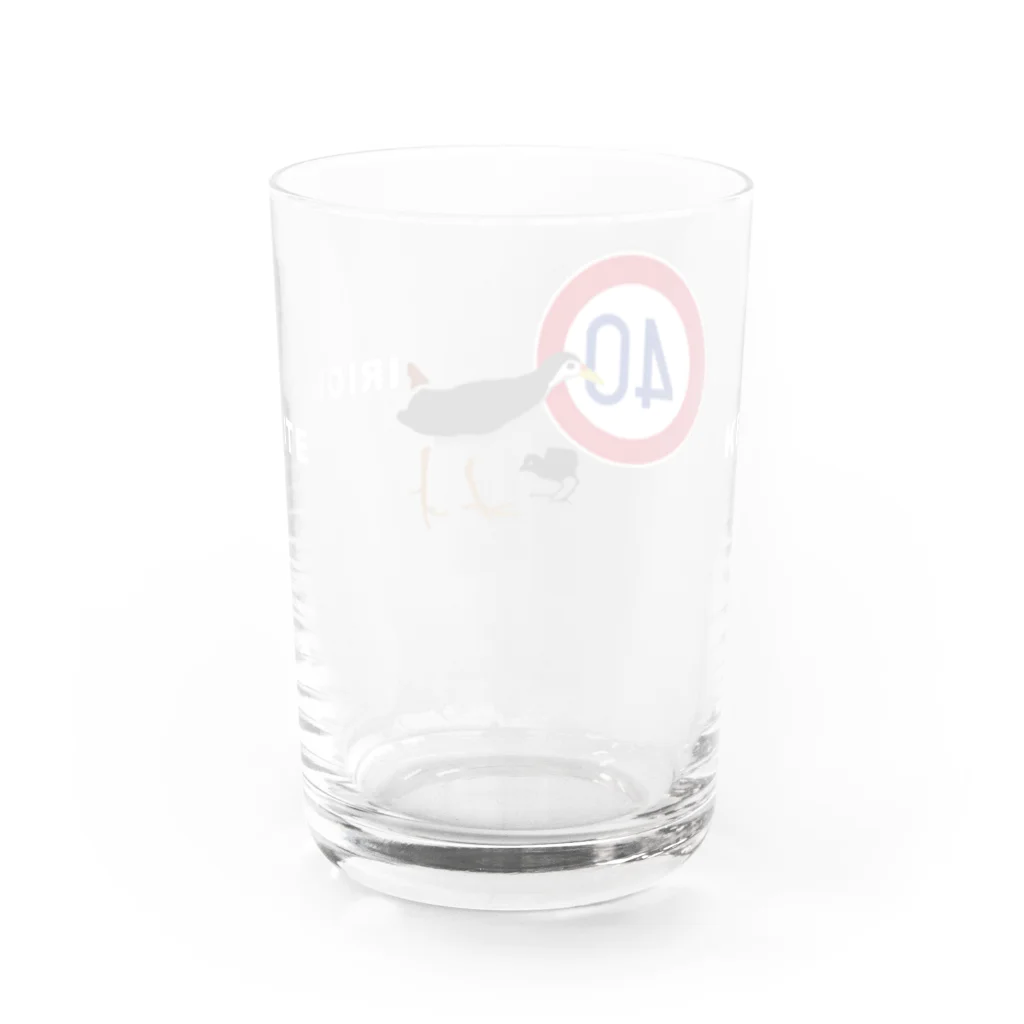 しまのなかまfromIRIOMOTEのKEEP40 IRIOMOTE シロハラクイナ（横） Water Glass :back