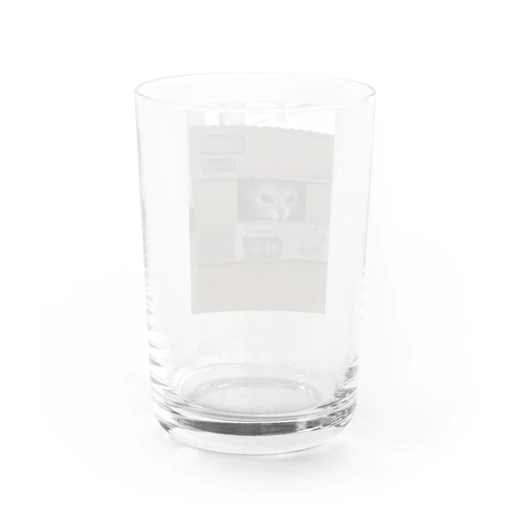 大道芸人Ino（いの）の大道芸人Inoのペット Water Glass :back