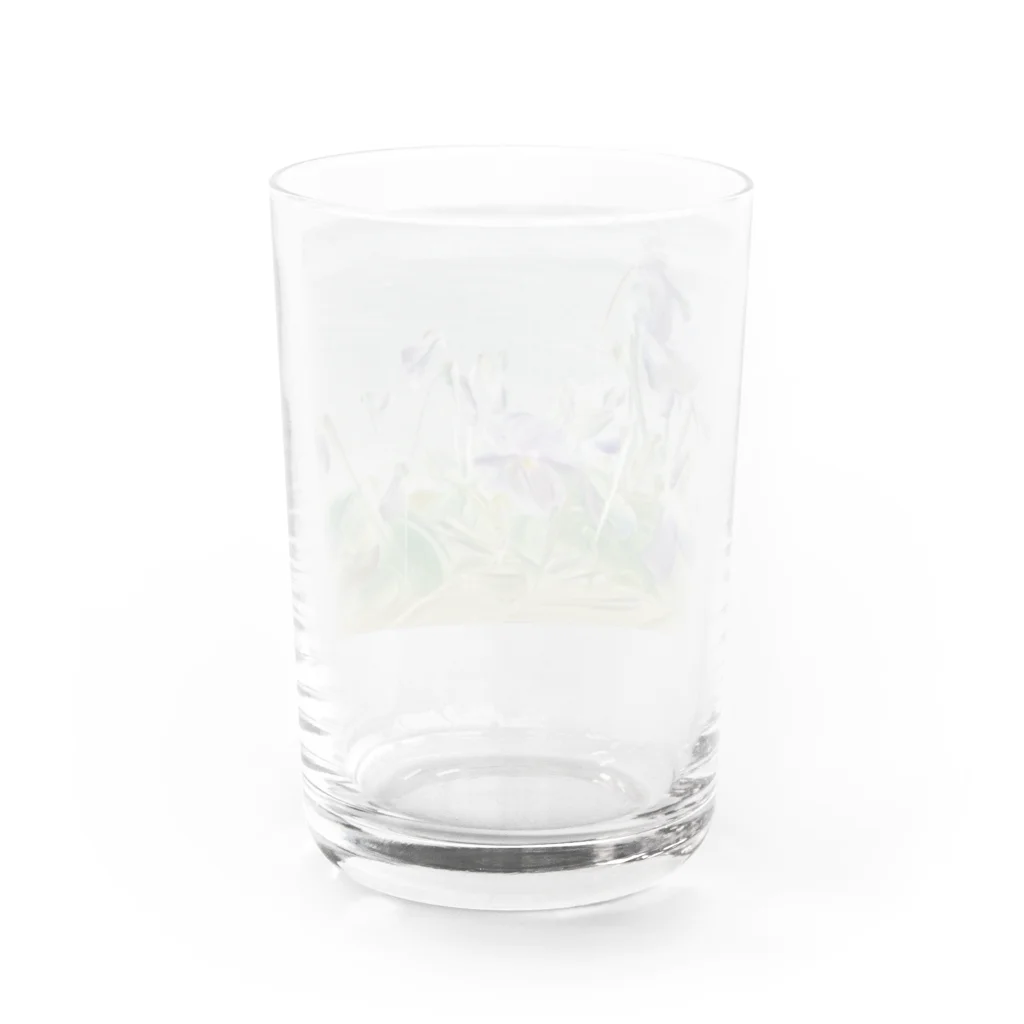 Aya Higuchiのイソスミレ Water Glass :back