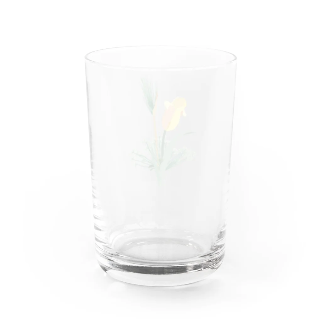 polka polkaのチューリップと麦とレースフラワー。 Water Glass :back