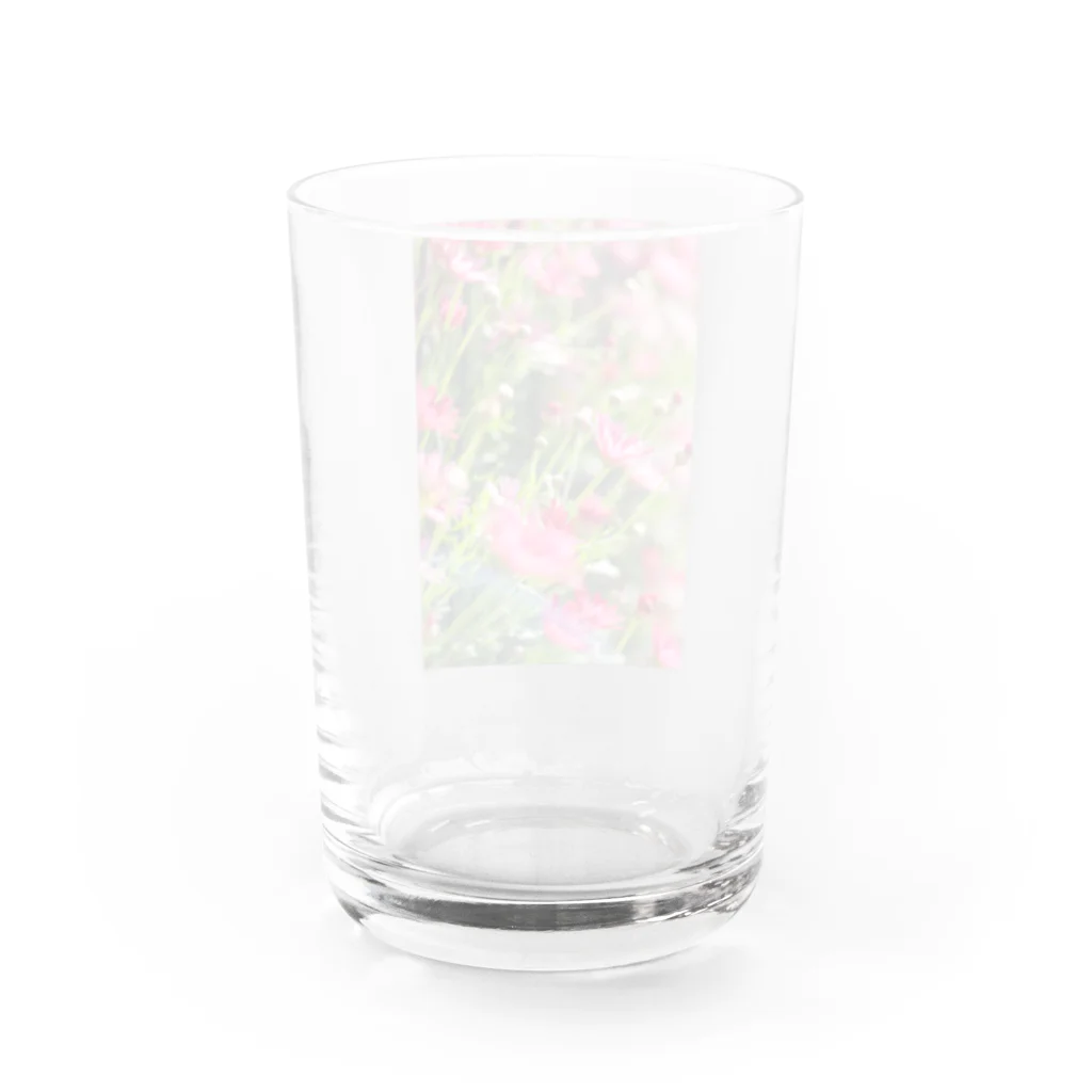 かぴばらのFLOWERS-ぴんく- Water Glass :back