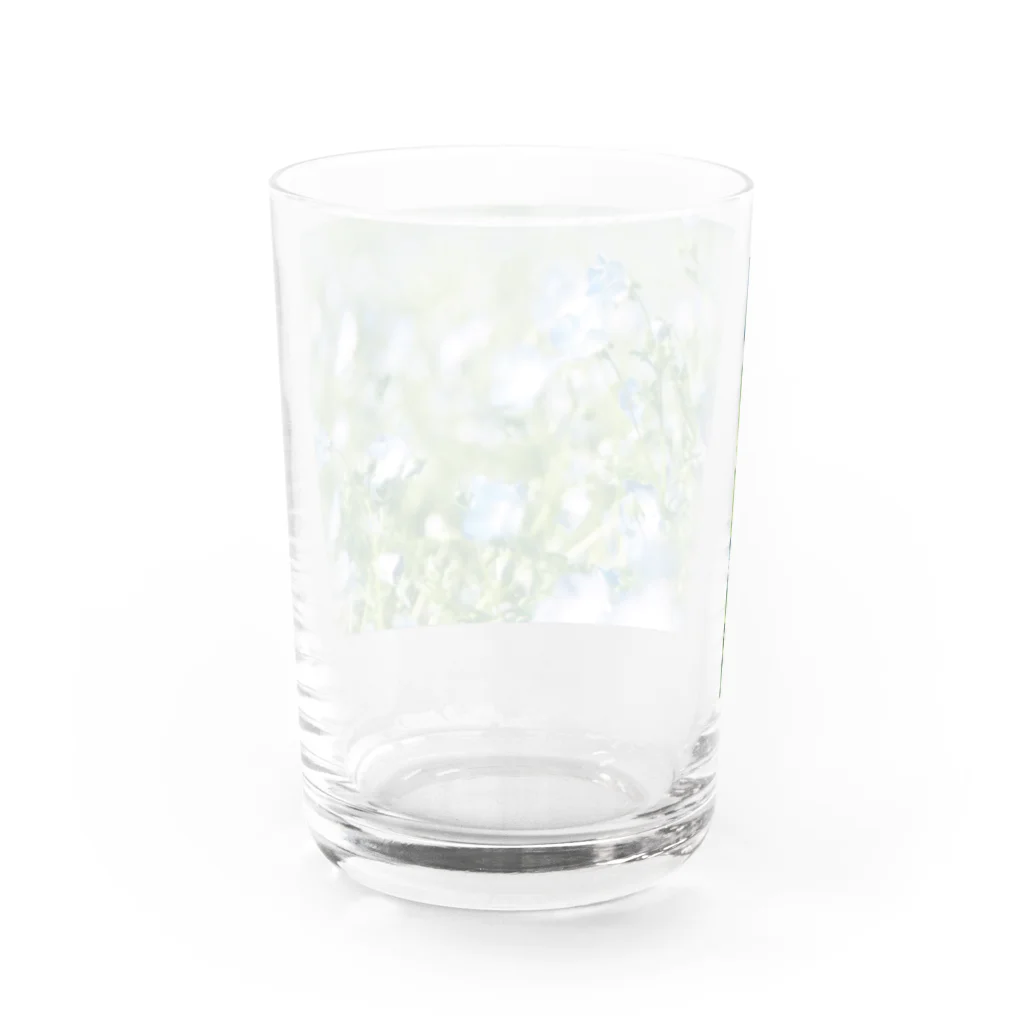 はち / きまぐれハチログのフィルム 青の花ネモフィラ Water Glass :back