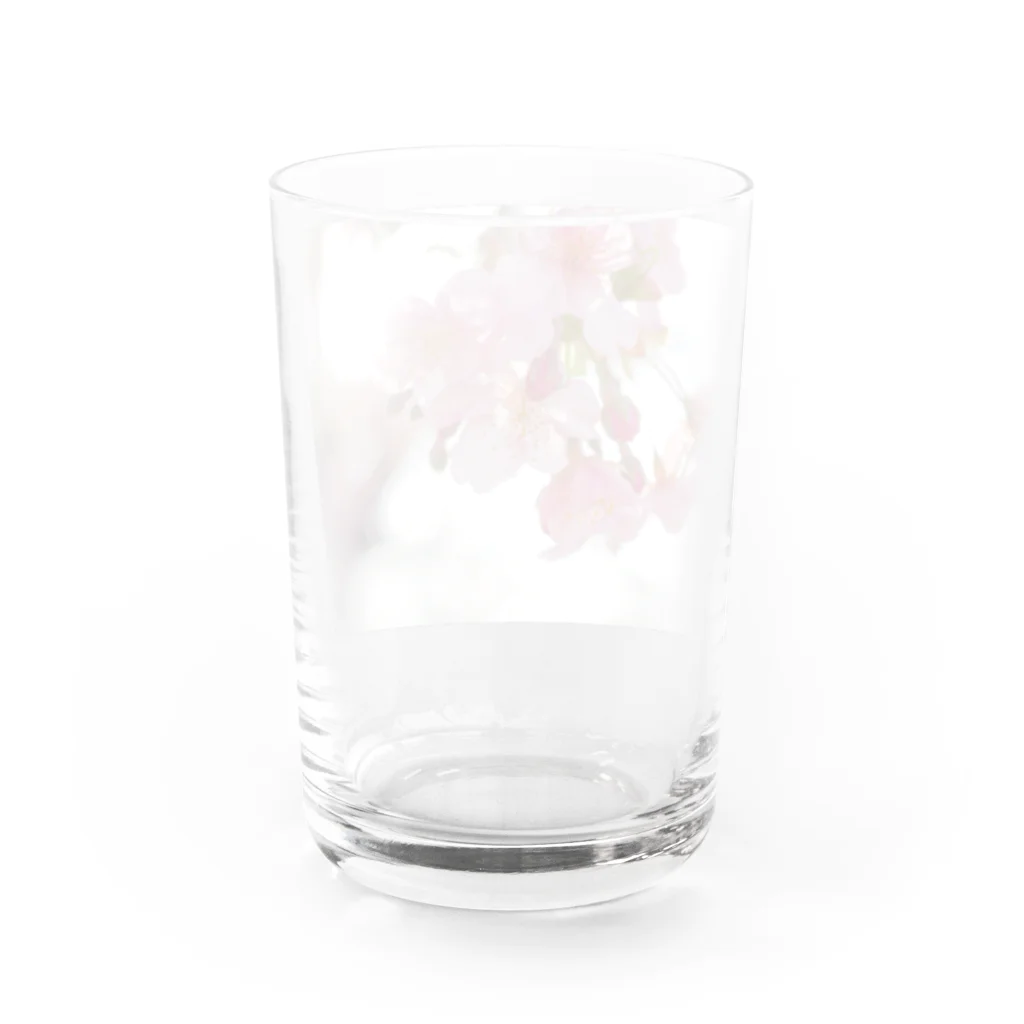 はち / きまぐれハチログのさくら Water Glass :back