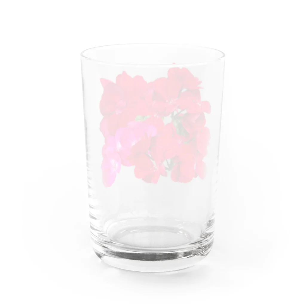 lisz-marketのゼラニウムさん Water Glass :back