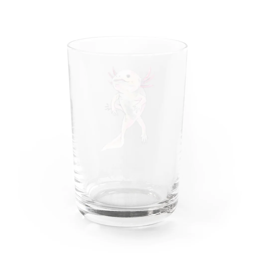 MasakiRockのウーパールーパー Water Glass :back