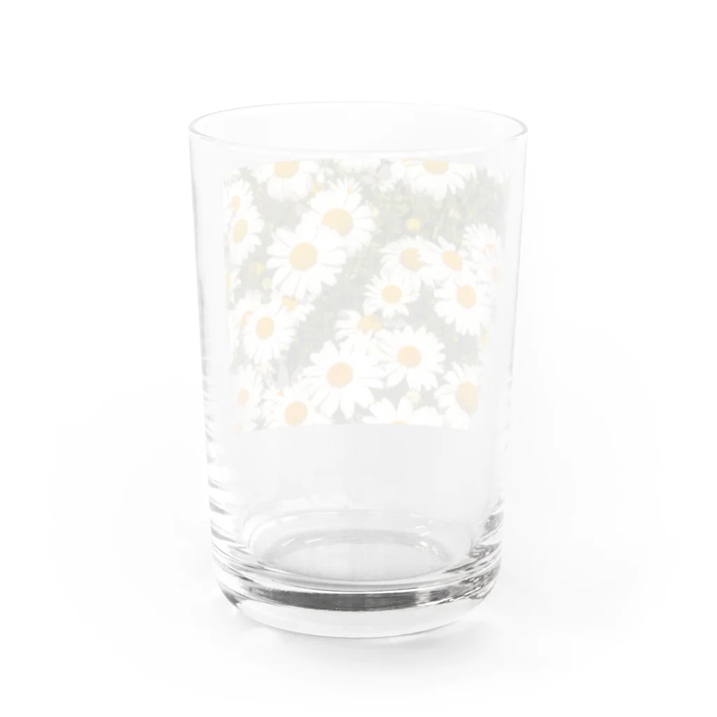 satyos__n33のまーがれっと達 Water Glass :back