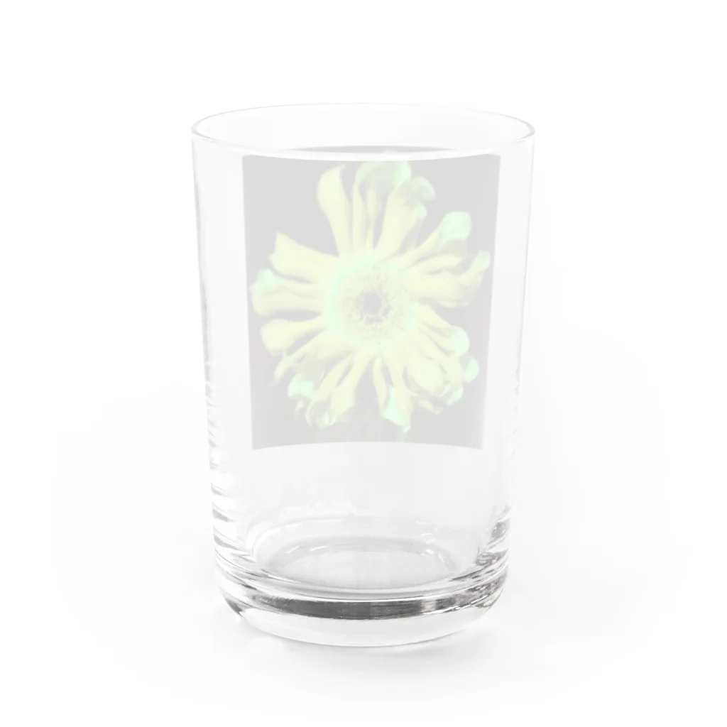 ミエルセカイのサイケバナ-yellow- Water Glass :back