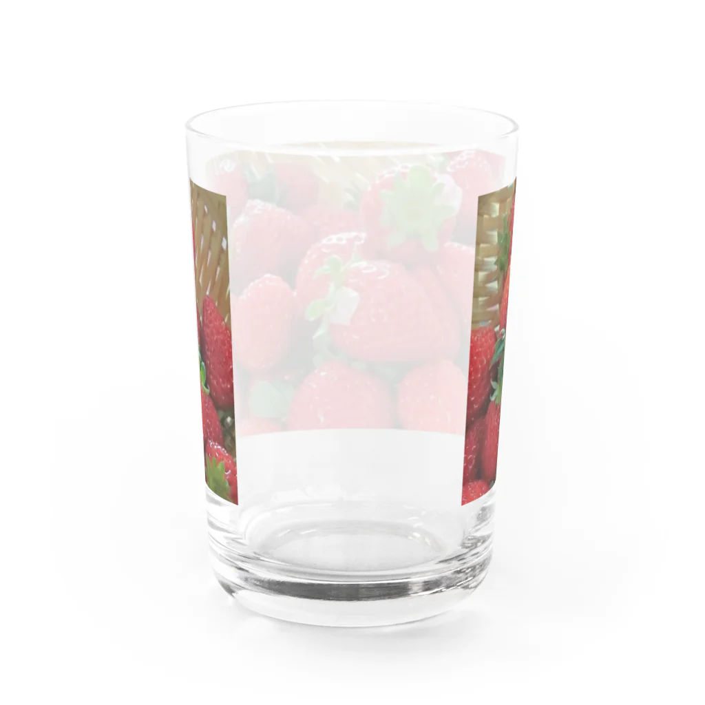 望美【写真】の花びらいちごB Water Glass :back