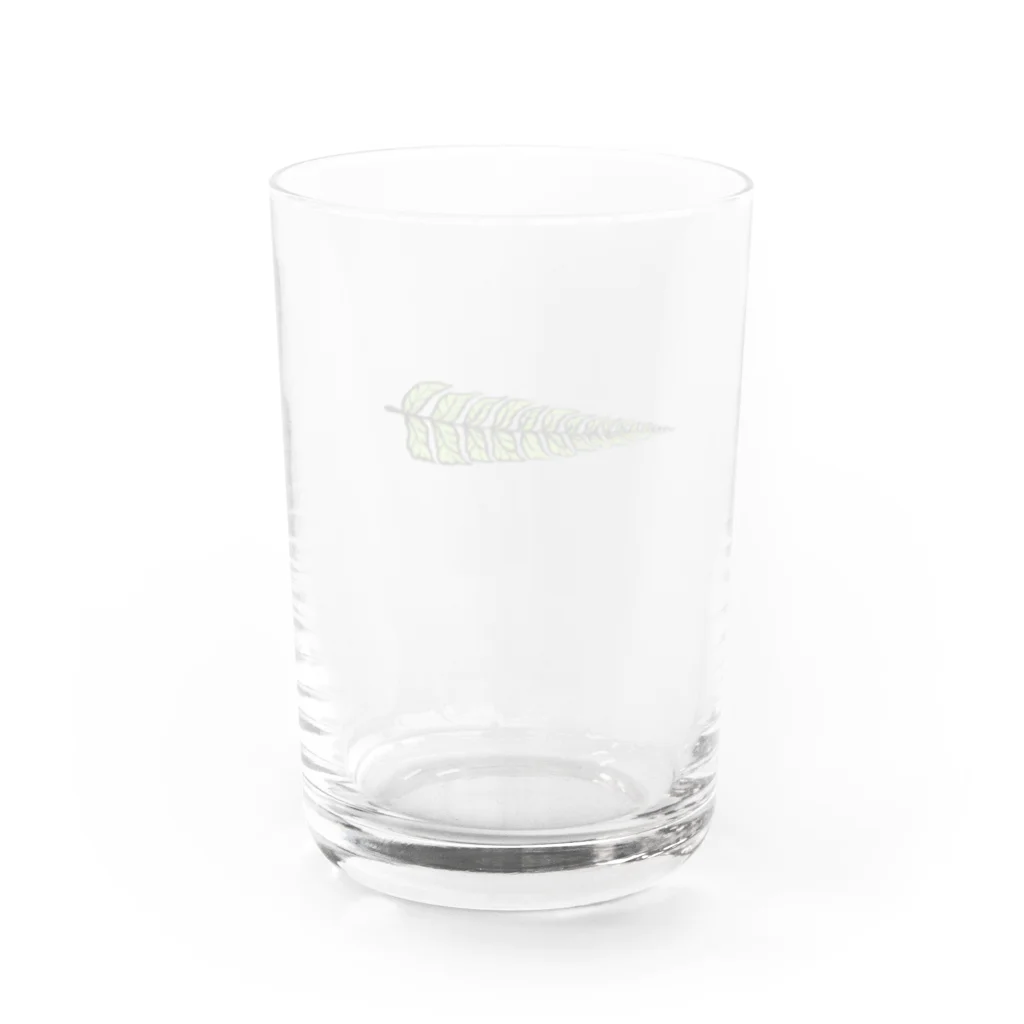 描く撮るのシダ植物 Water Glass :back