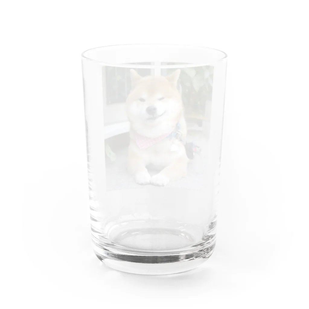 Ryuji513のにやりじ Water Glass :back