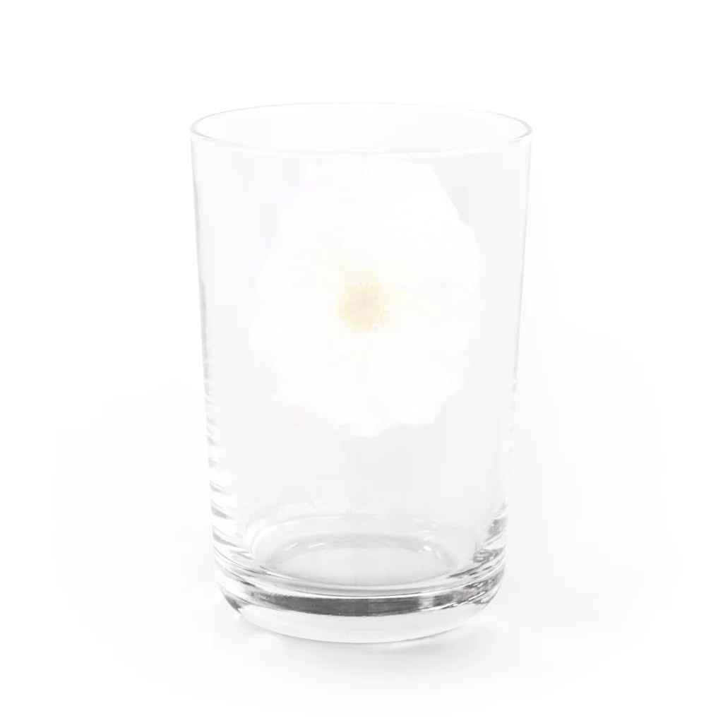 コマタヒチの【可憐】白と薄ピンクと黄色のお花 Water Glass :back