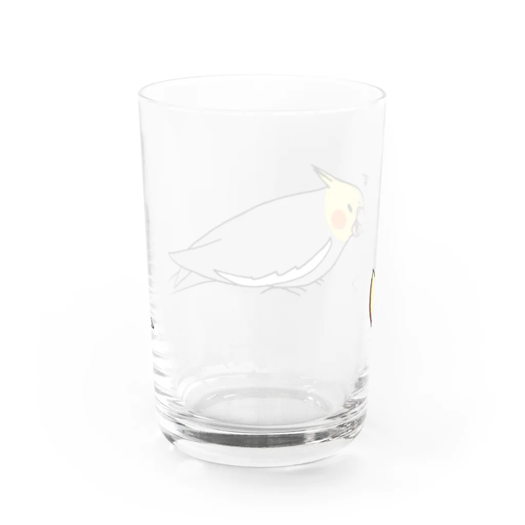 猛禽族のりんごにキレるオカメインコ  Water Glass :back